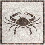 Cancer Rosette